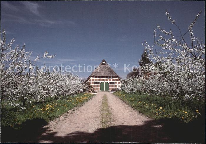 Fischerhude Twielenfleth Altes Land