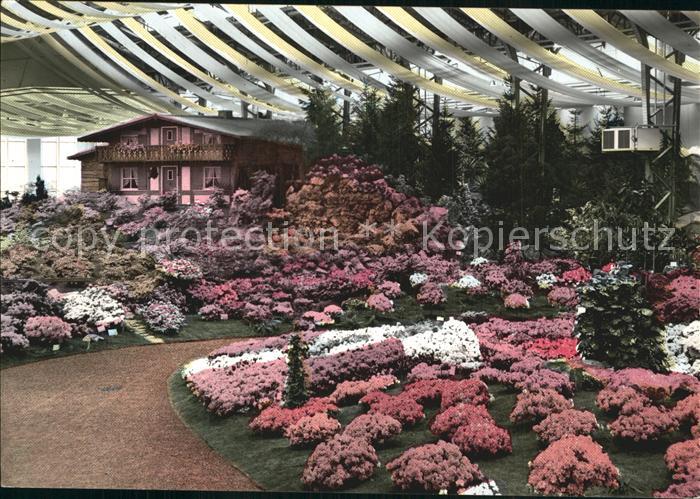 Gent Gand Flandre Floralies Gantoises