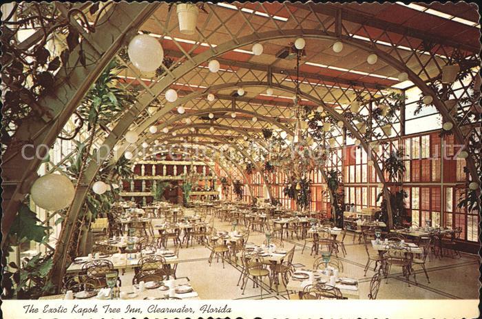 Clearwater Florida The Exotic Kapok Tree Inn