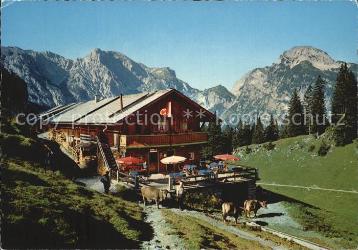 Pertisau Achensee Baerenbadalpe gegen Ochsenkar Hahnenkamm