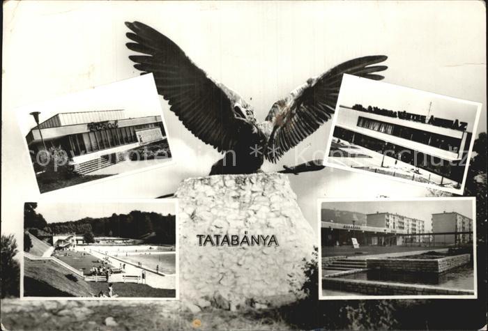 Tatabanya Schwimmbad