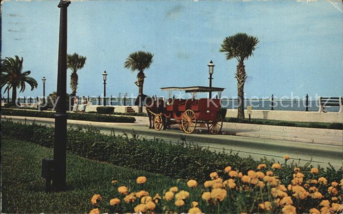 St Augustine Sightseeing Carriage