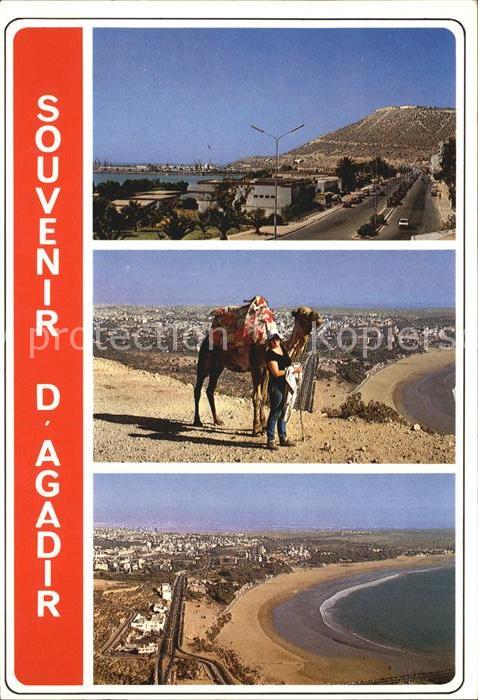 Agadir Fliegeraufnahme Strand Camel