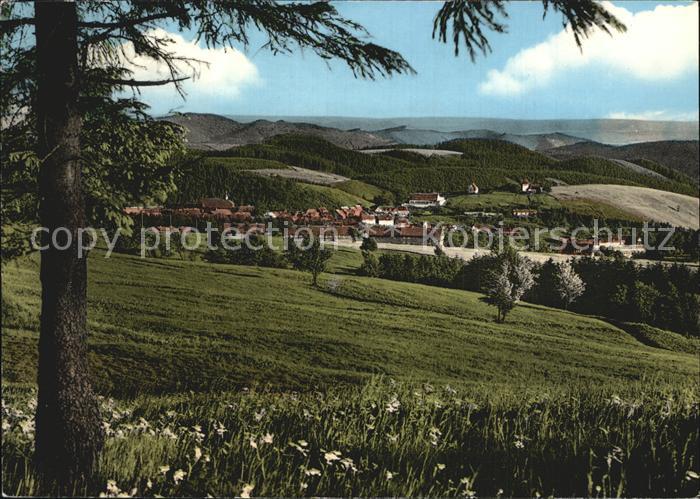 St Andreasberg Harz Blick von der Jordanhoehe