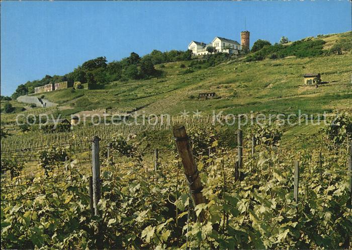 Heilbronn Neckar Wartberg