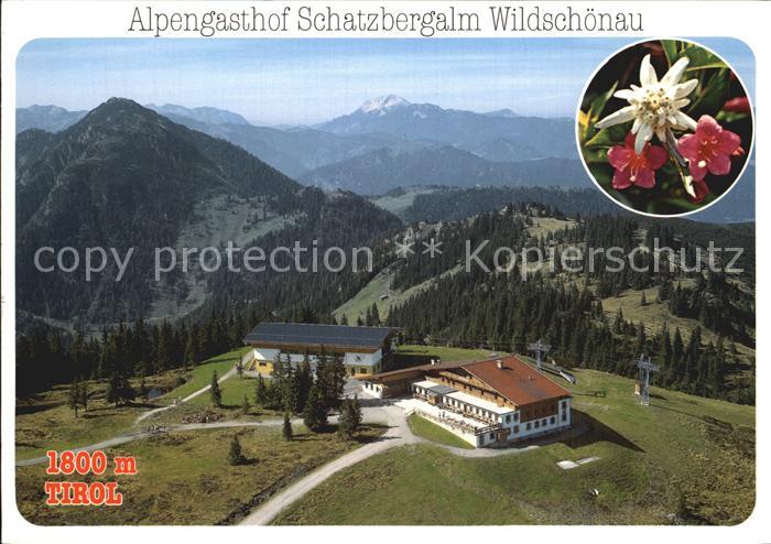 Wildschoenau Tirol Alpengasthof Schatzbergalm Alpenflora Fliegeraufnahme