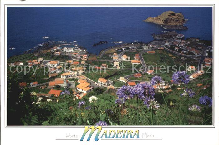 Porto Moniz Panorama Blumen