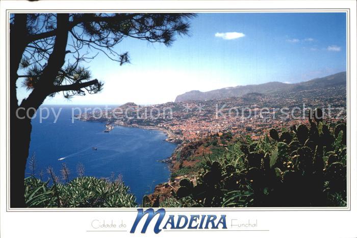 Funchal Panorama Kueste