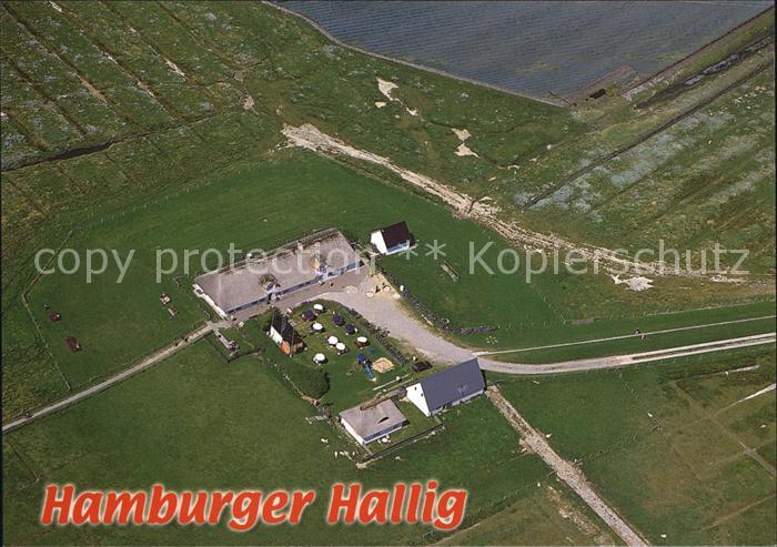 Hamburger Hallig Fliegeraufnahme