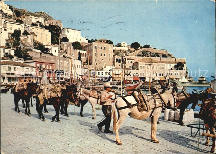 Hydra Greece Partie am Hafen Esel Lasttiere