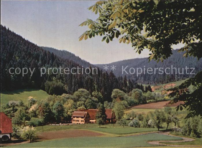 Ehlenbogen Mittlere Muehle Schwarzwald