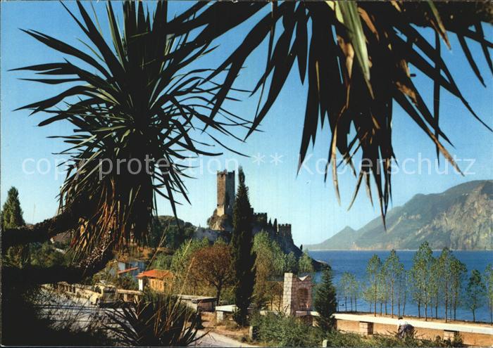 Malcesine Lago di Garda Castello fra i Palmizi Schloss unter Palmen Gardasee