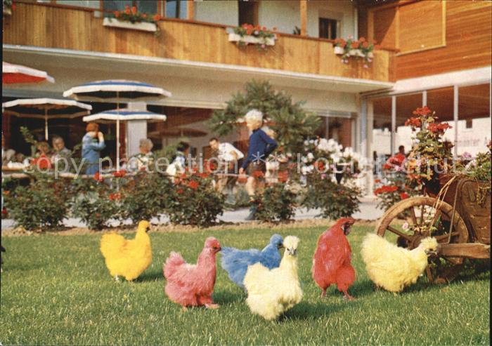 Bad Pyrmont Tierpark Japanische Seidenhuehner