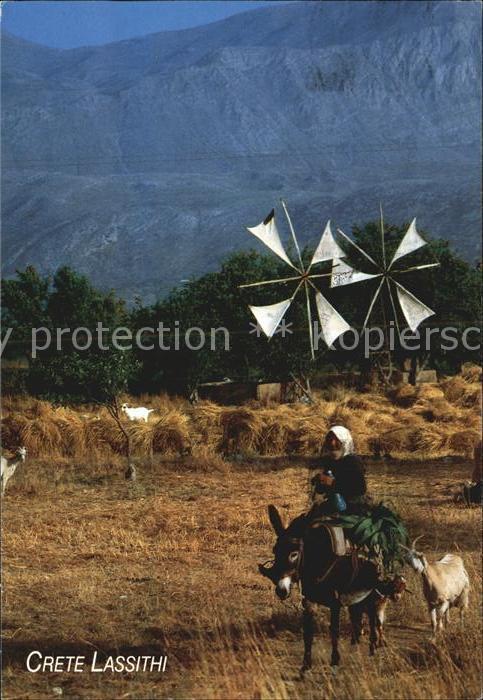 Lassithi Windmuehle Bauer Esel Lasttier Ziege