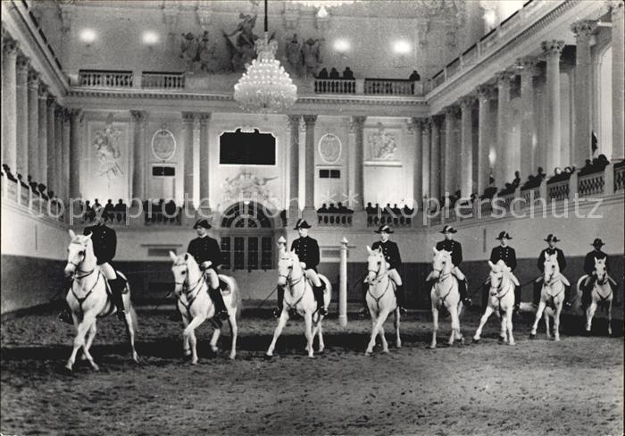 Reitsport Pferdesport Pferderennen Spanische Reitschule Wien