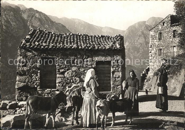 Ziege Types Corses