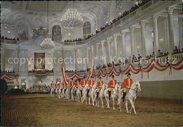 Reitsport Pferdesport Pferderennen Spanische Reitschule Wien Einzug