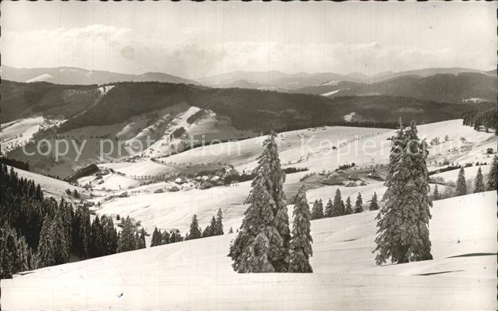Todtnauberg Schwarzwald BW Blick vom Stuebenwasen