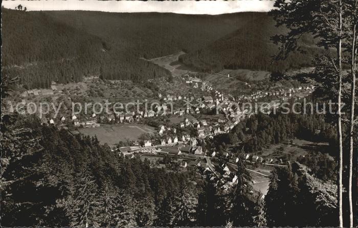 Calmbach Enz Totalansicht