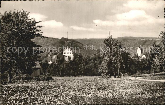 Zavelstein Krokusbluete Teilansicht