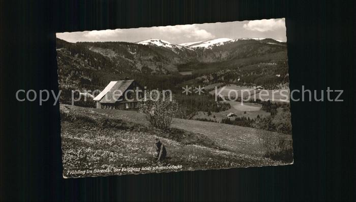 Baerental Feldberg mit Feldberg