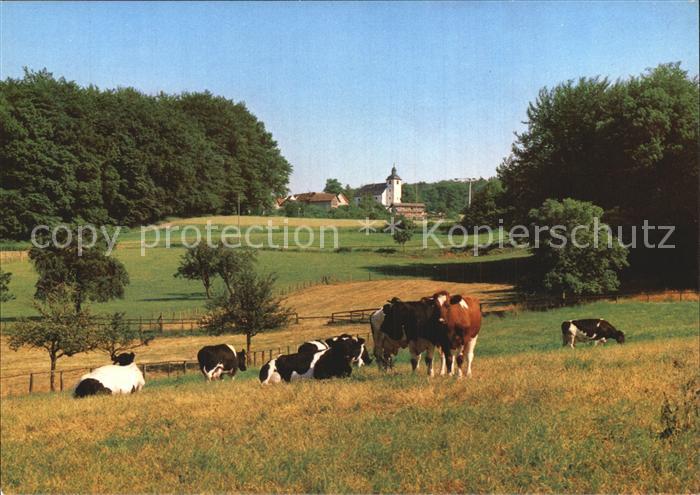 Neunkirchen Odenwald Teilansicht mit Kirche und Rinderherde