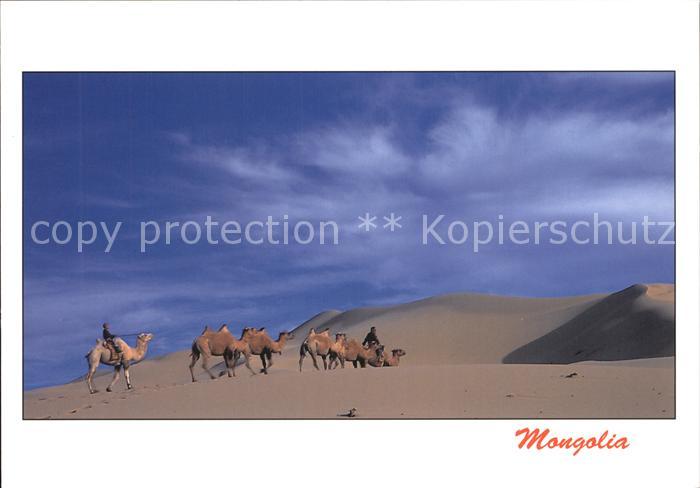 Mongolei Wüste Kamelreiter
