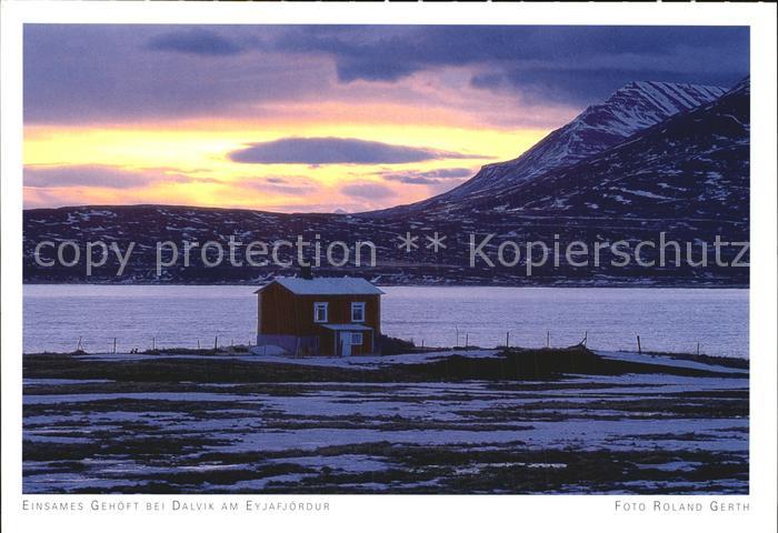 Dalvia Einsames Gehoeft