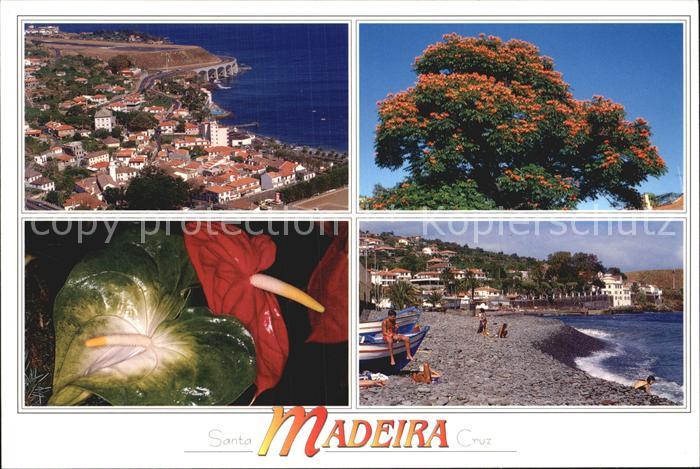 Madeira Portugal Vista aerea Acroporto Santa Cruz
