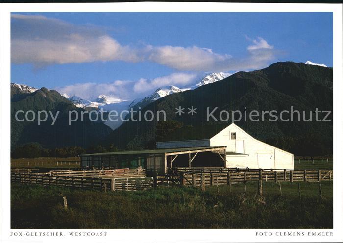 Neuseeland Fox Gletscher Westcoast