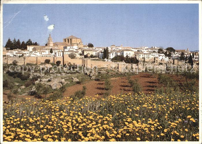 Ronda Andalucia Stadtblick