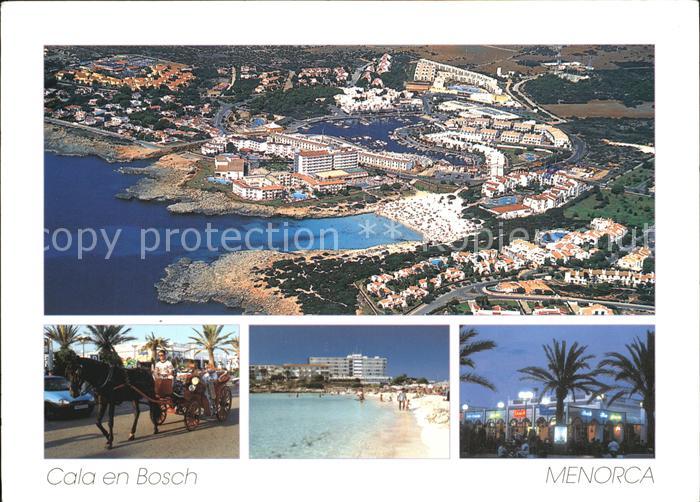 Cala en Bosch Fliegeraufnahme Pferdekutsche Strand Palmen