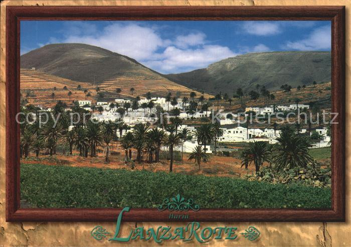 Haria Valle de las 10000 Palmeras