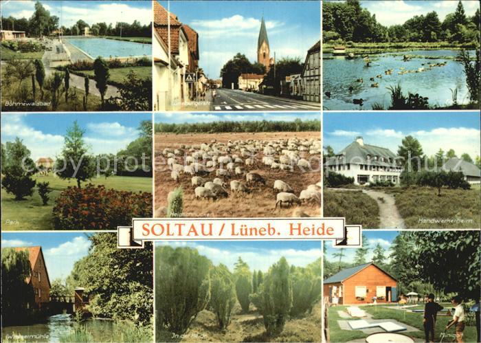 Soltau Lueneburger Heide Boehmerwaldbad Handwerkerheim Park Schafe