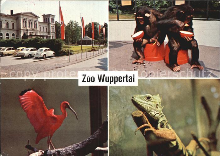 WUPPERTAL NRW Zoo Schimpansen Ibis Leguan