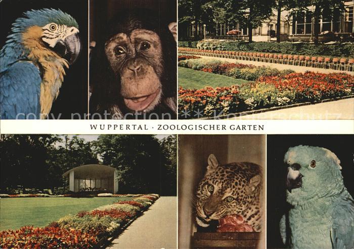 WUPPERTAL NRW Zoologischer Garten Tiere