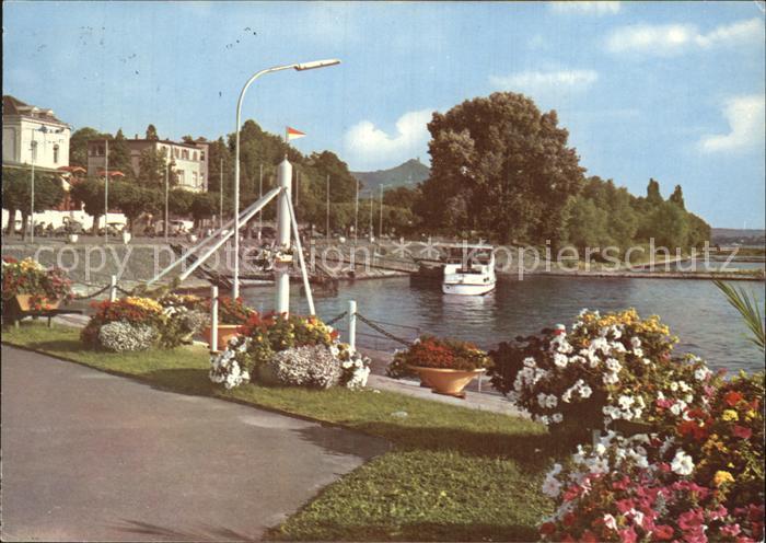 Niederdollendorf Rheinufer Blick auf Drachenfels
