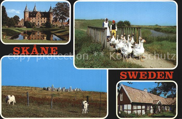 Skane Schloss Gaense Schafe Bauernhaus