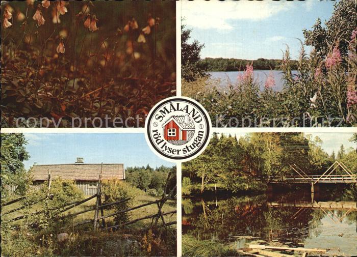 Schweden Buschwindroeschen See Bruecke