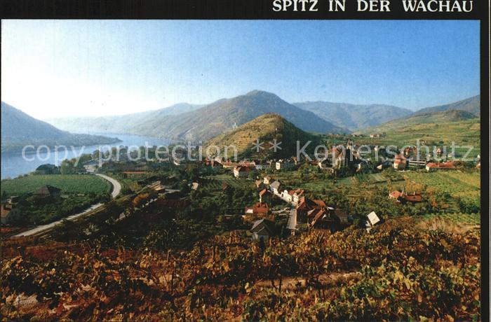 Spitz Donau Wachau Weingaerten Tausendeimerberg Donautal