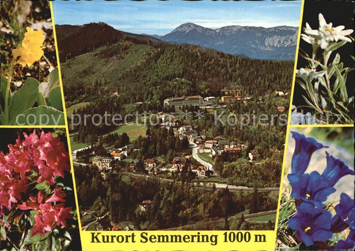 Semmering Niederoesterreich Kurort Raxalpe Edelweiss Enzian Alpenrose Schluessel
