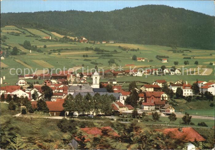Rinchnach Bayerischer Wald Panorama