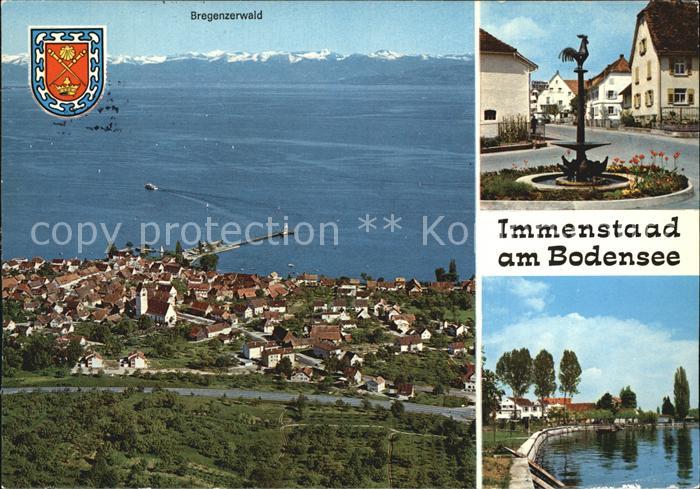 Immenstaad Bodensee Bregenzerwald Luftbild