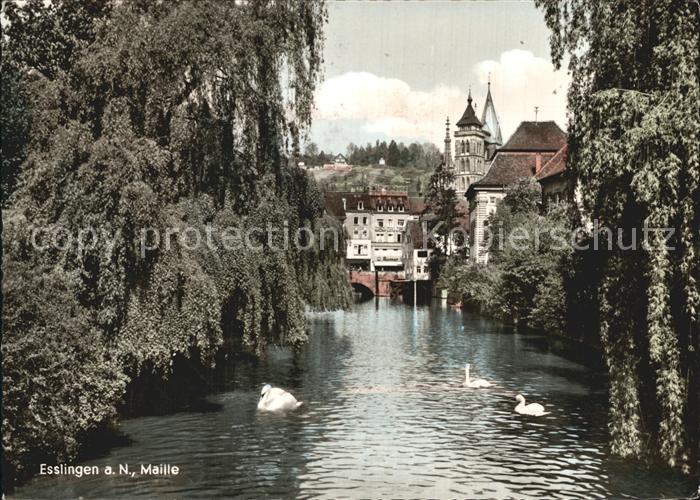 Esslingen Neckar Maille
