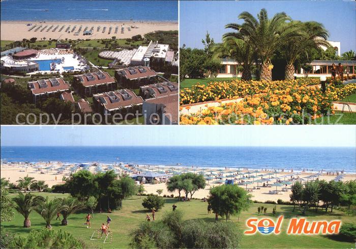 Antalya Sol Muna Hotel Strand Palmen