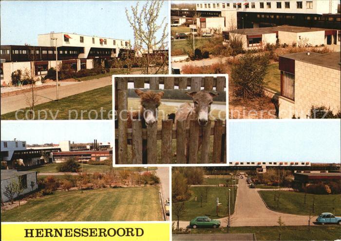 Middelharnis Hernesseroord