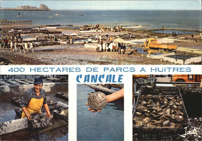 Cancale Austernfarm