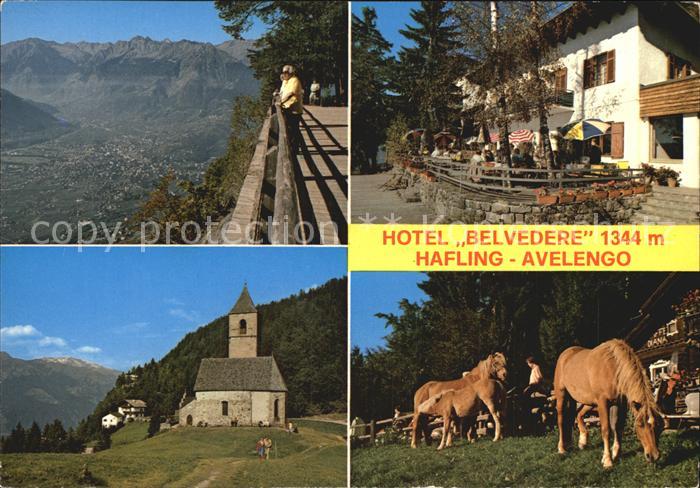 Hafling Hotel Belvedere Kirche Pferde
