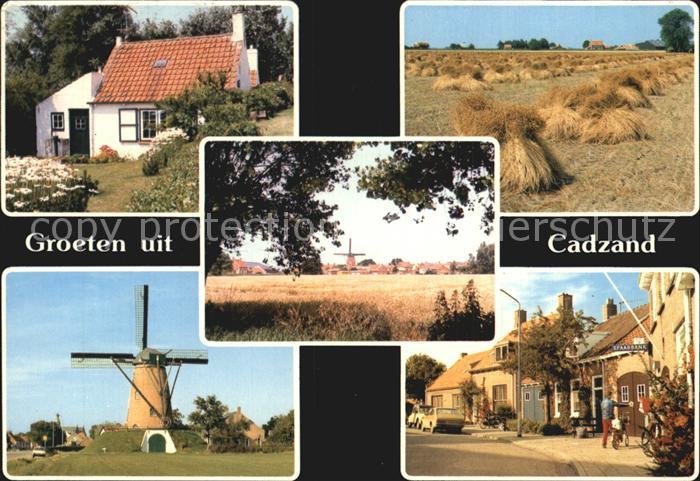 Cadzand Zeeland Dorfansichten Windmuehle Landwirtschaft