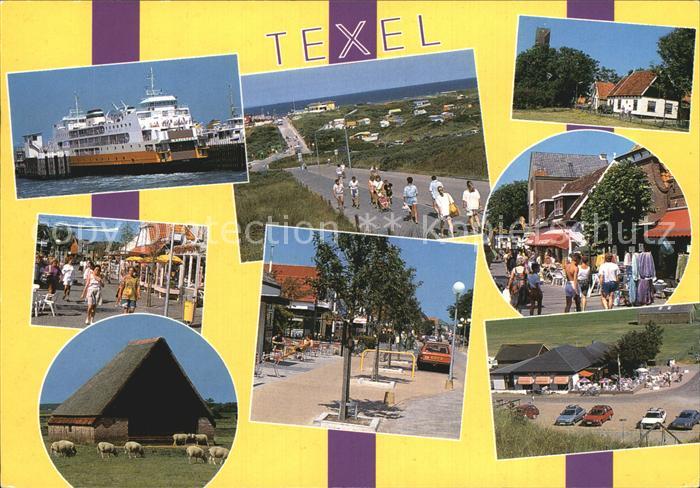 Texel Faehre Ortsansichten Bauernhof Schafe Camping